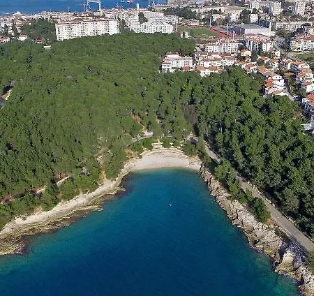 Sasa * Pula