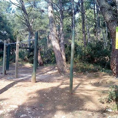 Sasa Pula